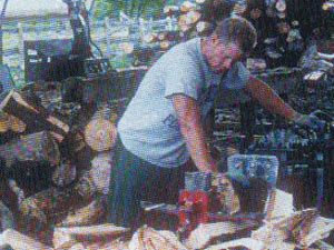 Timberwolf Log Splittters